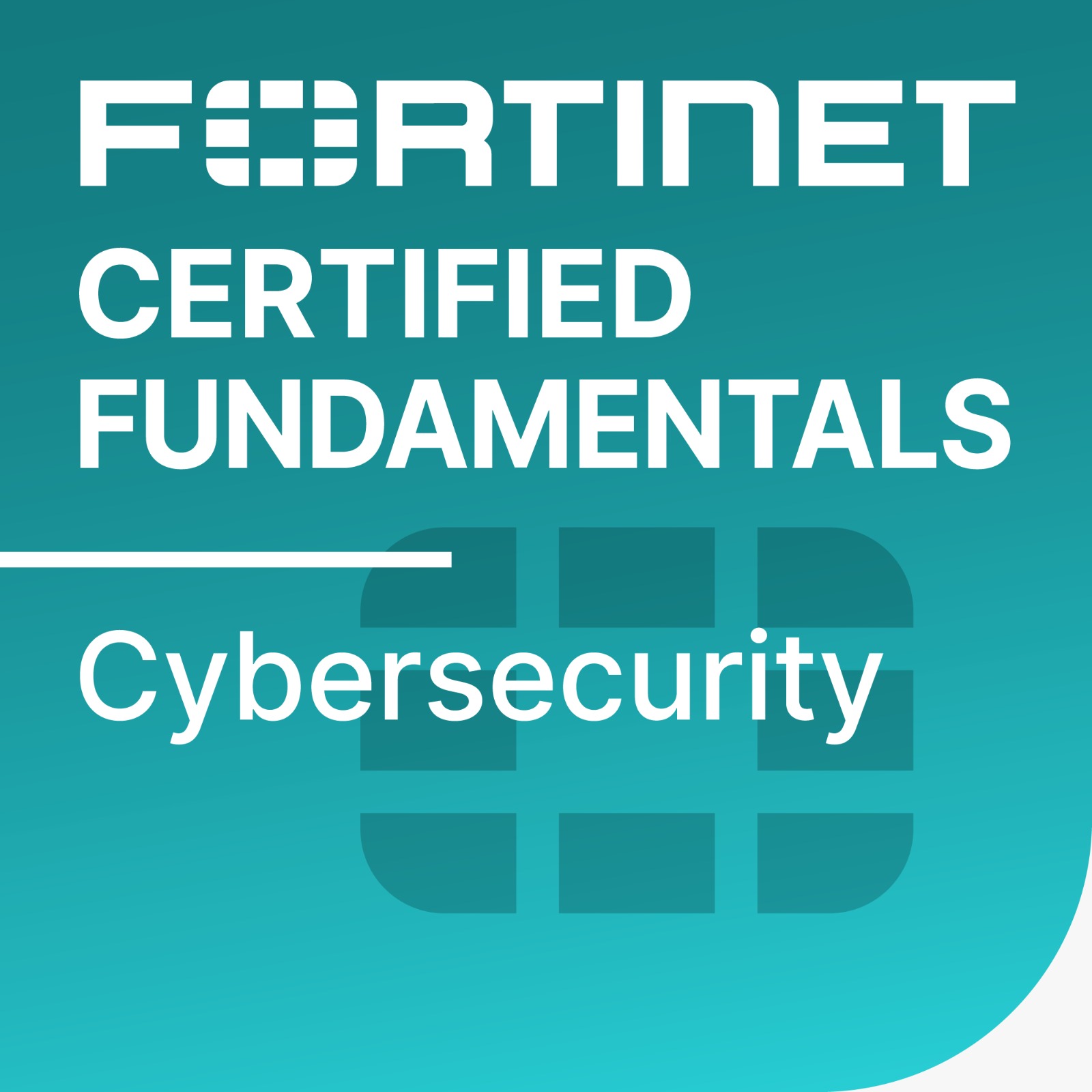 Fortinet Security Expertise